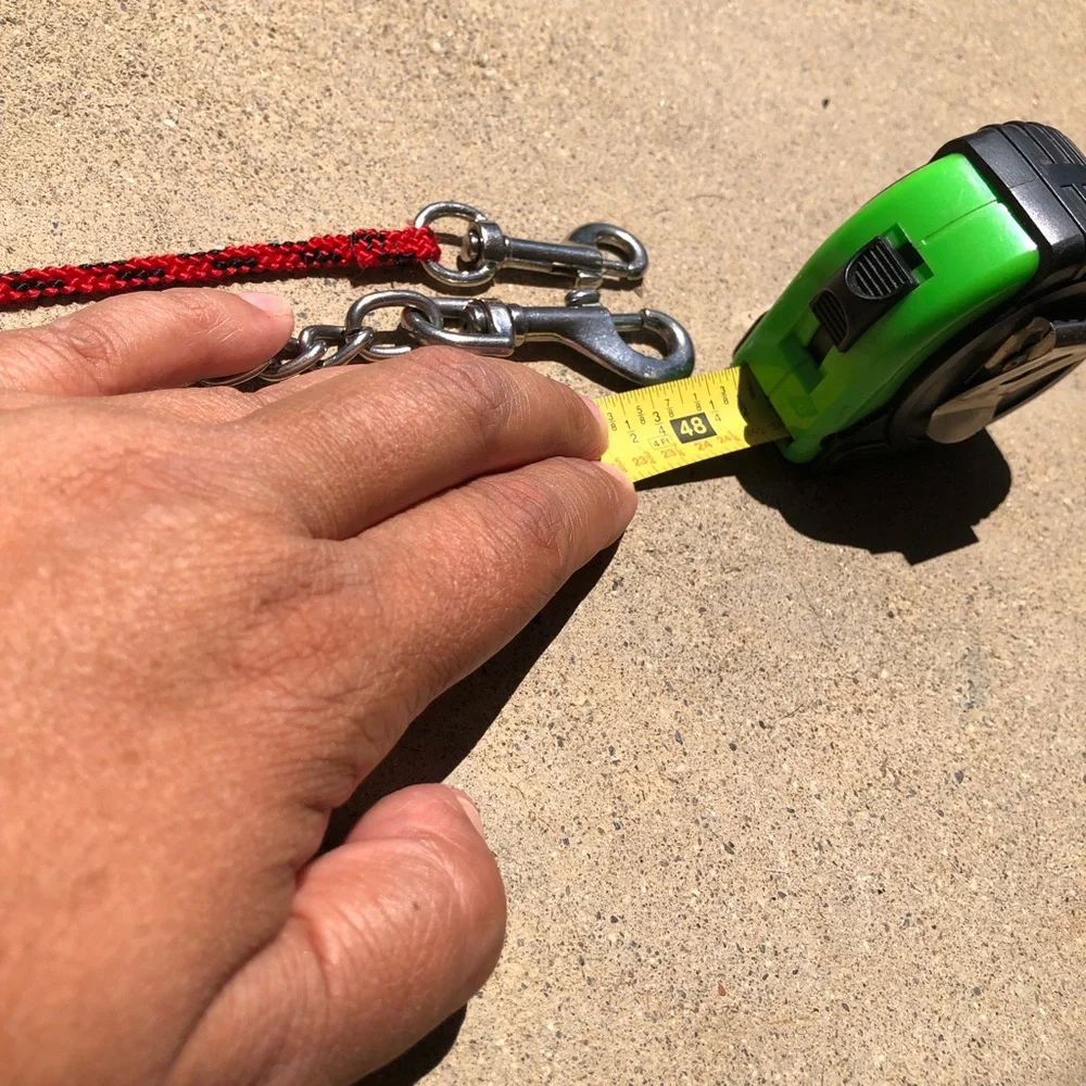 Red Rope and Chain Dog Leash with Orange Collar